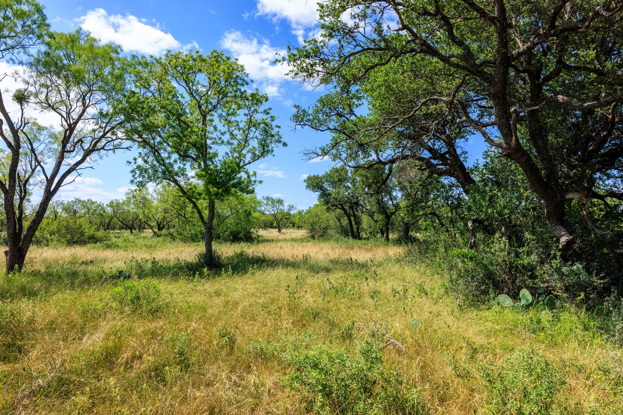 Brady Creek Ranch CR 3388, Melvin, TX 76858, Melvin, Texas, United States. - Photo 22