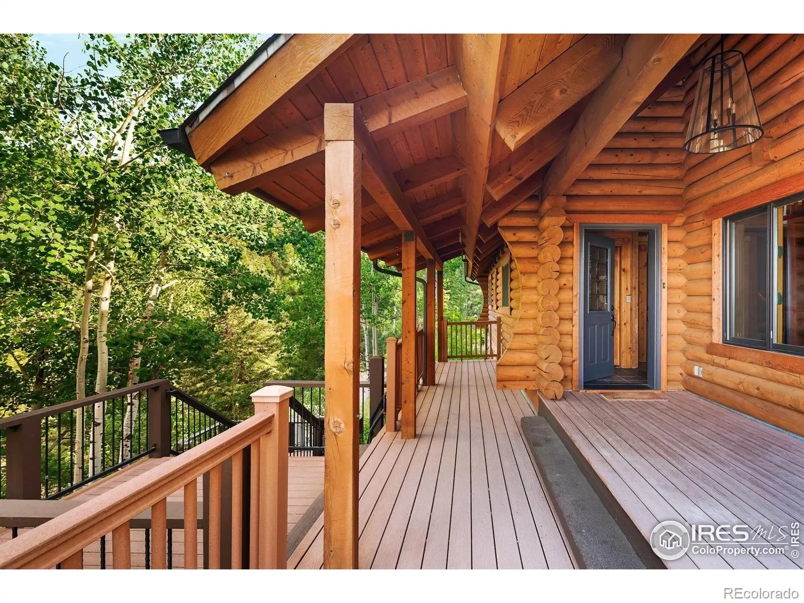 Gallery photo 6