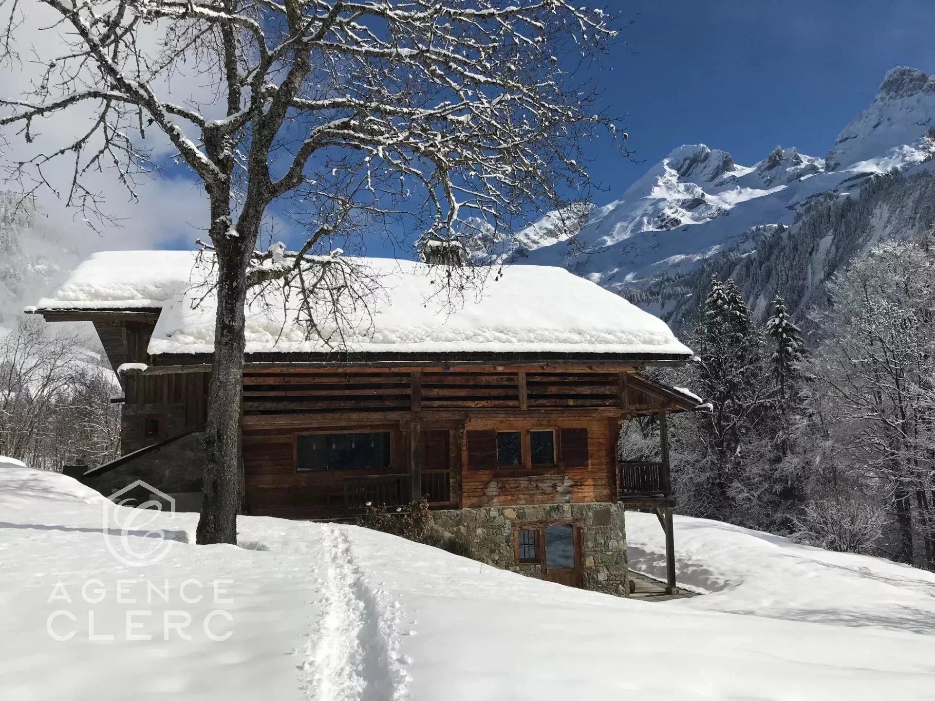 Le Grand-Bornand, Auvergne-Rhône-Alpes, France. - Photo 8
