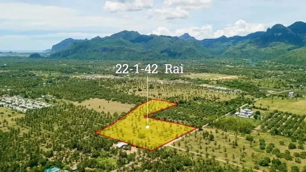 Prachuap Khiri Khan,, Sam Roi Yot, Prachuap Khiri Khan, Thailand. - Photo 7