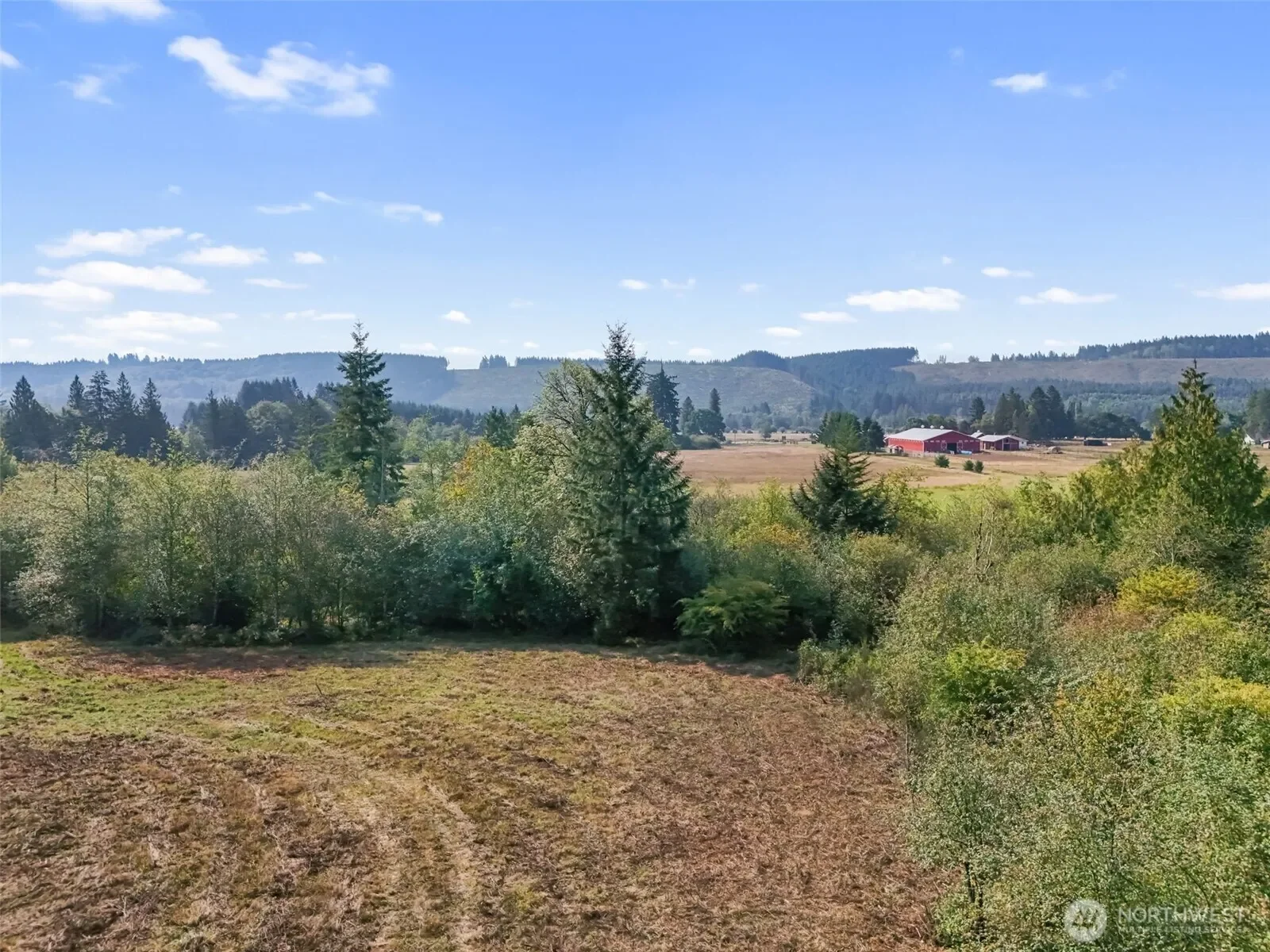 104 Bills Lane, Onalaska, WA 98570, Onalaska, Washington, United States. - Photo 4