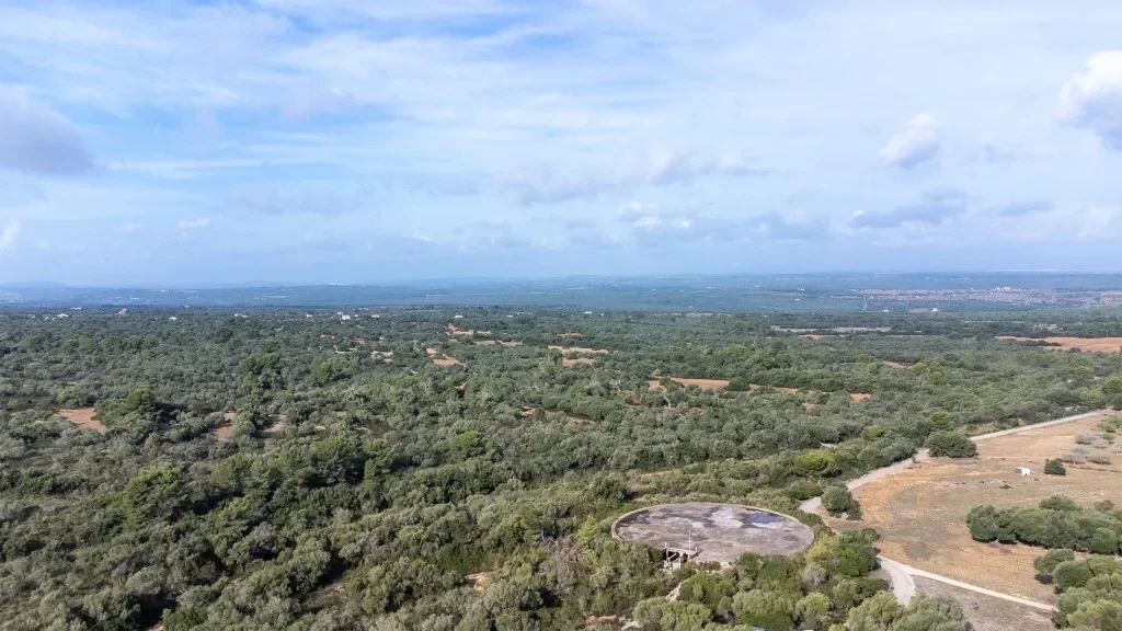 Extensive agricultural Finca with several buildings for sale in Arta, Mallorca