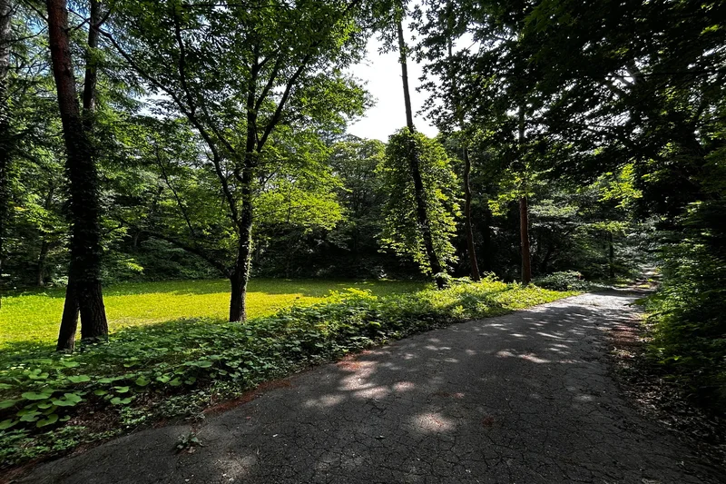 Nagano, 13, Nagano, Nagano, Japan. - Photo 15