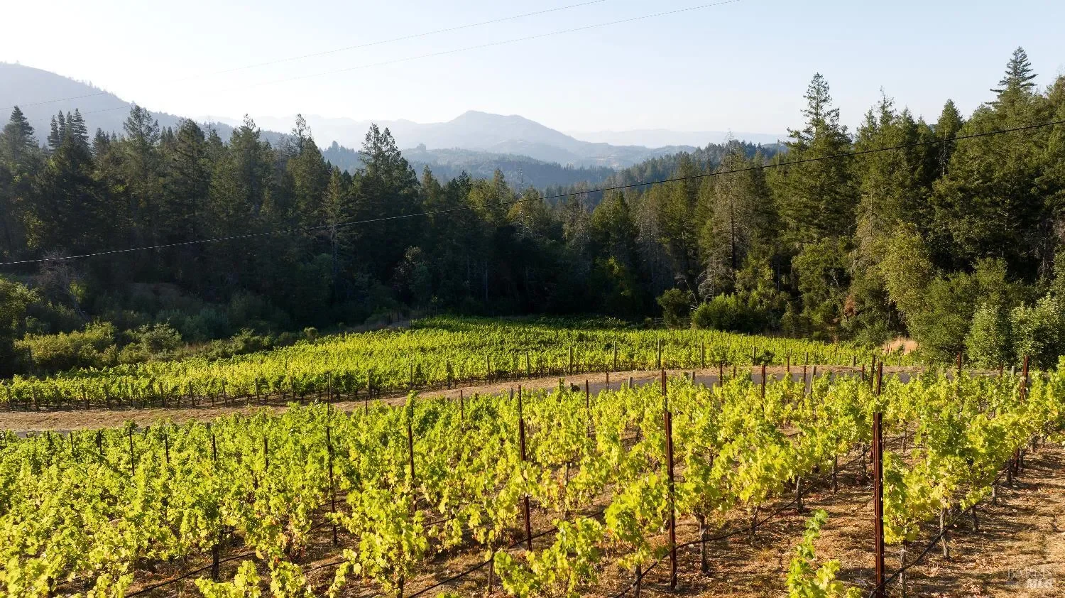 3000 Mount Veeder Road, Napa, California, United States. - Photo 47