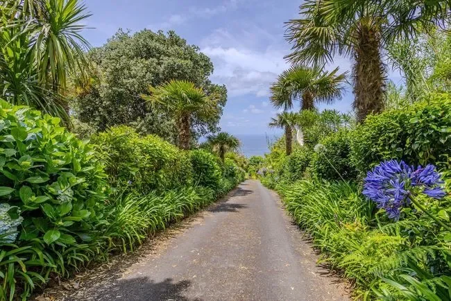 9555 São Miguel, Portugal, Mosteiros, Azores, Portugal. - Photo 8