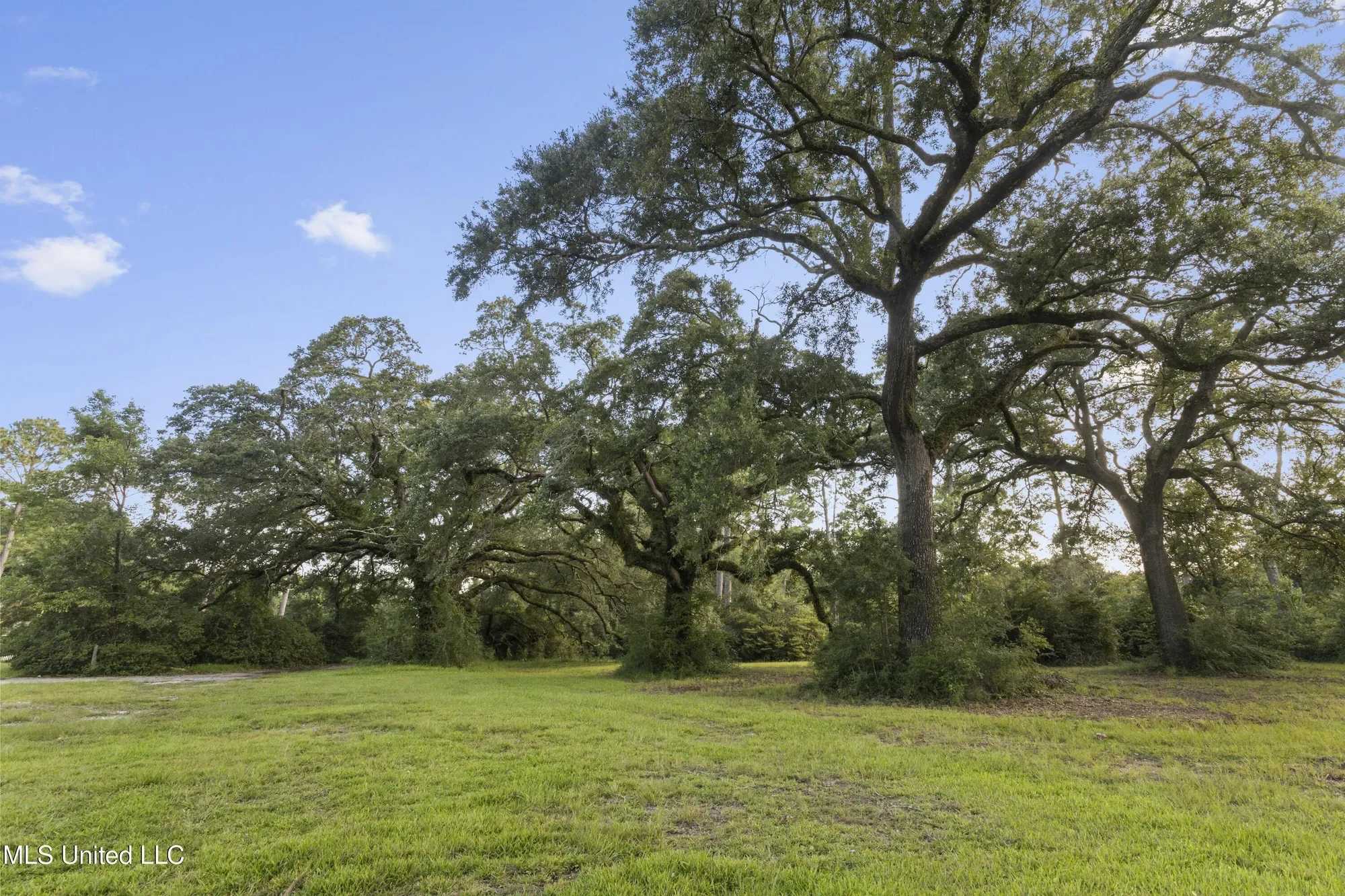 8.13 Acres Dixie Street, Ocean Springs, MS 39564, Ocean Springs, Mississippi, United States. - Photo 12