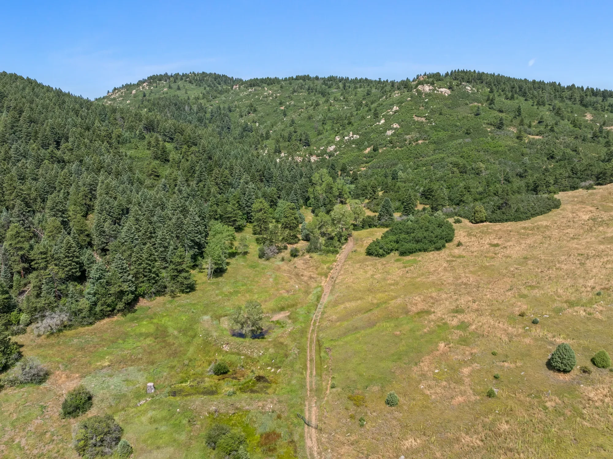 12954 Kuehster Road , Littleton, CO 80127, Littleton, Colorado, United States. - Photo 18