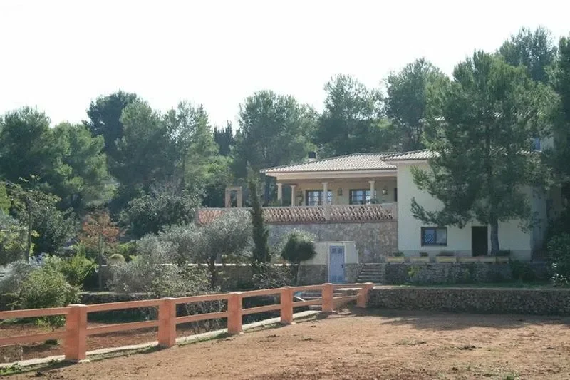 Javea, Xabia / Javea, Valencian Community, Spain. - Photo 15