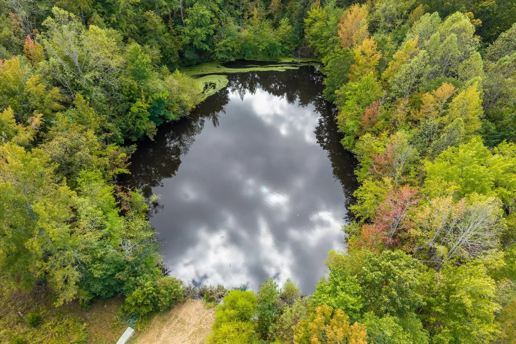 884 Pleasant Gap Drive, Dry Fork, VA 24549, Dry Fork, Virginia, United States. - Photo 52