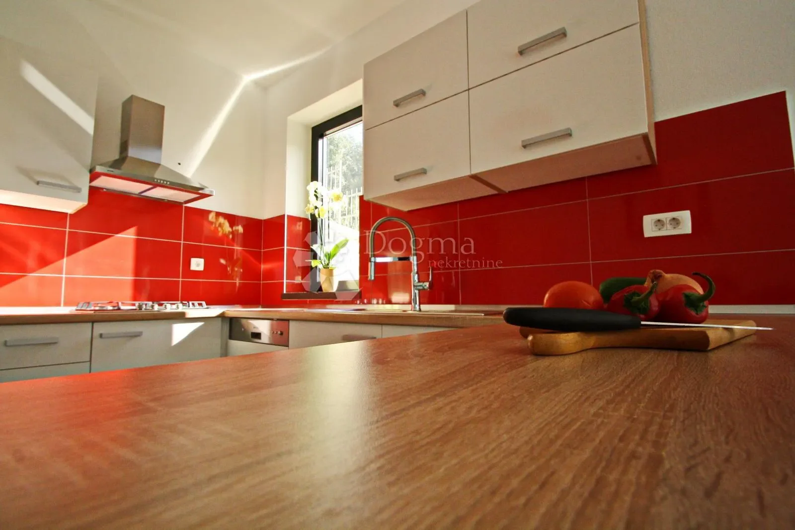 Gallery photo 4
