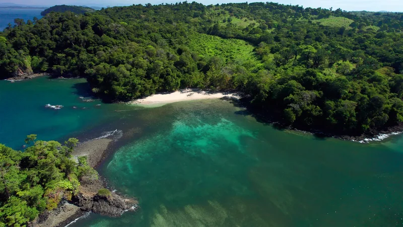 Isla Parida, Chiriquí Province, Panama, Isla Parida, Chiriquí Province, Panama. - Photo 19