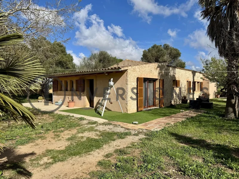 Felanitx centro, Felanitx, BALEARES, Felanitx, Felanitx, Balearic Islands, Spain. - Photo 6