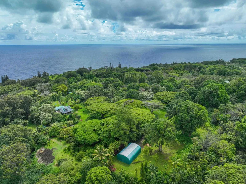 1600 Lower Nahiku Rd, Hana, HI 96713, Hana, Hawaii, United States. - Photo 6