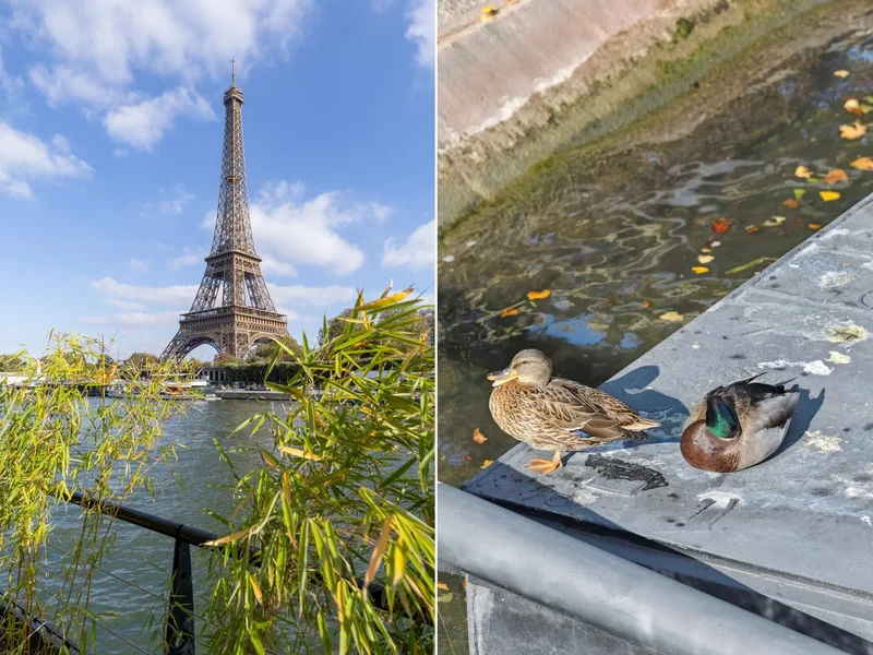 PARIS, J 75016, Paris, Île-de-France, France. - Photo 5