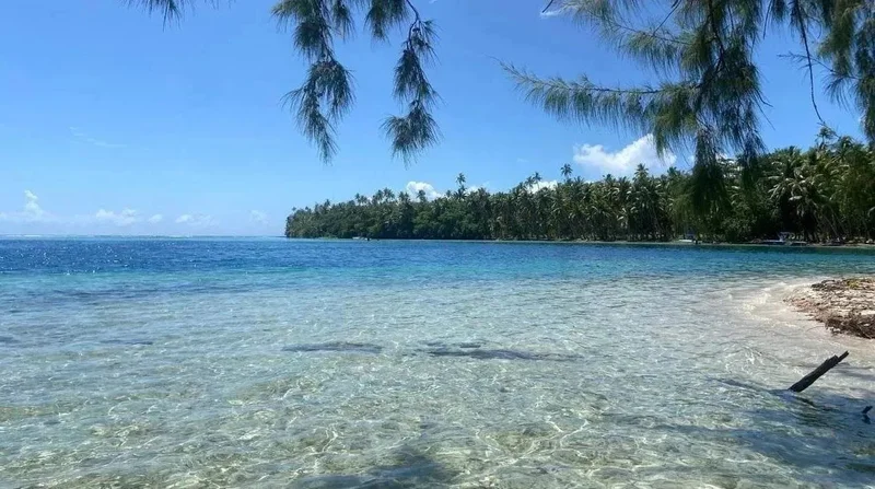 Uturoa, Leeward Islands, French Polynesia. - Photo 11