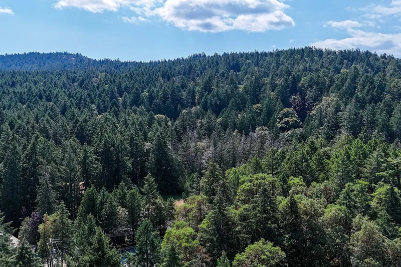 Lot 4 Willis Point Road, Central Saanich, BC V9E 2A2, Brentwood Bay, British Columbia, Canada. - Photo 7