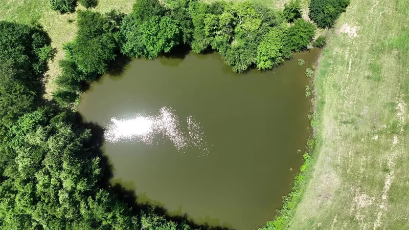 4410 Clay Creek Road, Brenham, TX 77833, Brenham, Texas, United States. - Photo 22
