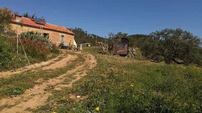Thumbnail 18