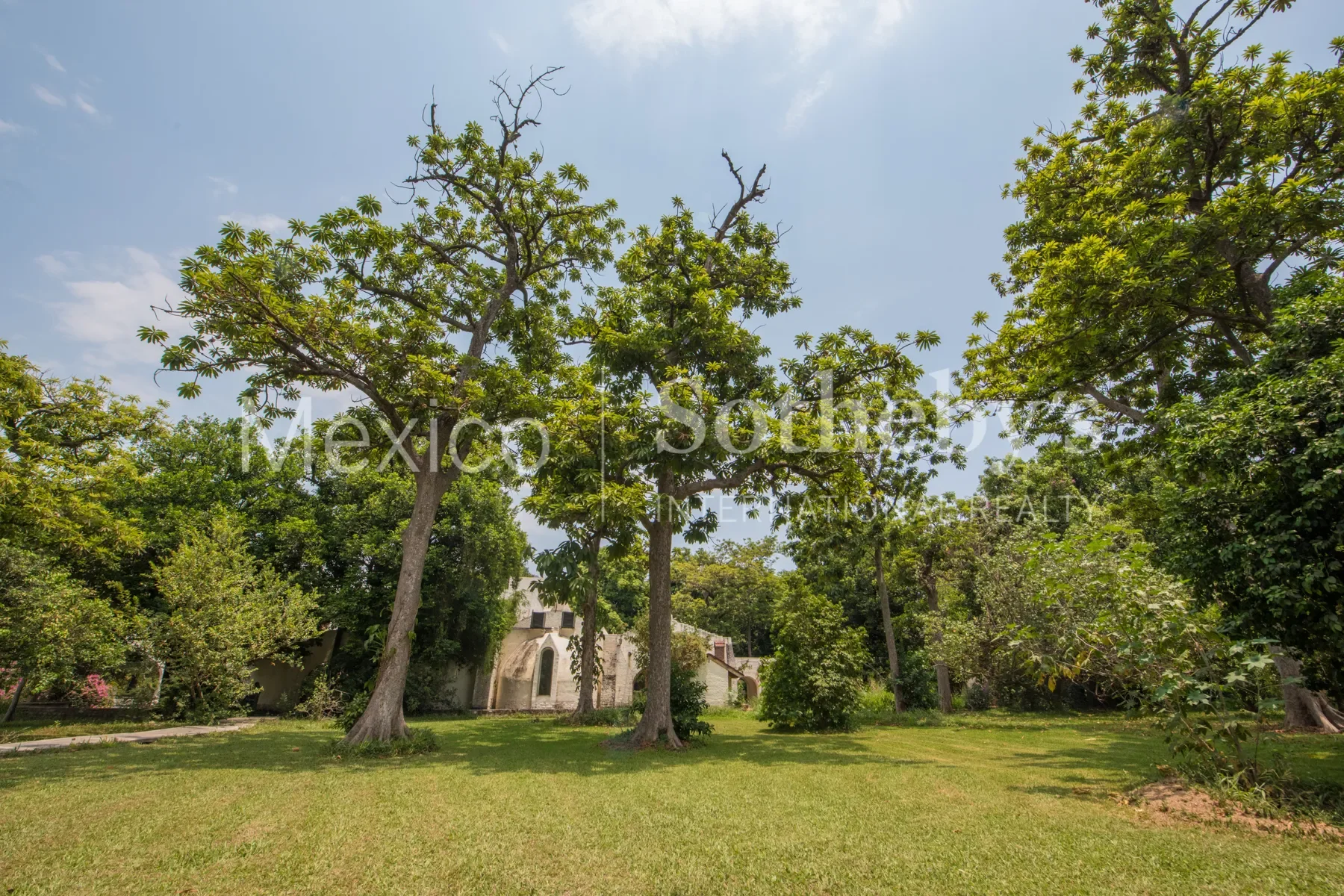 Gallery photo 12