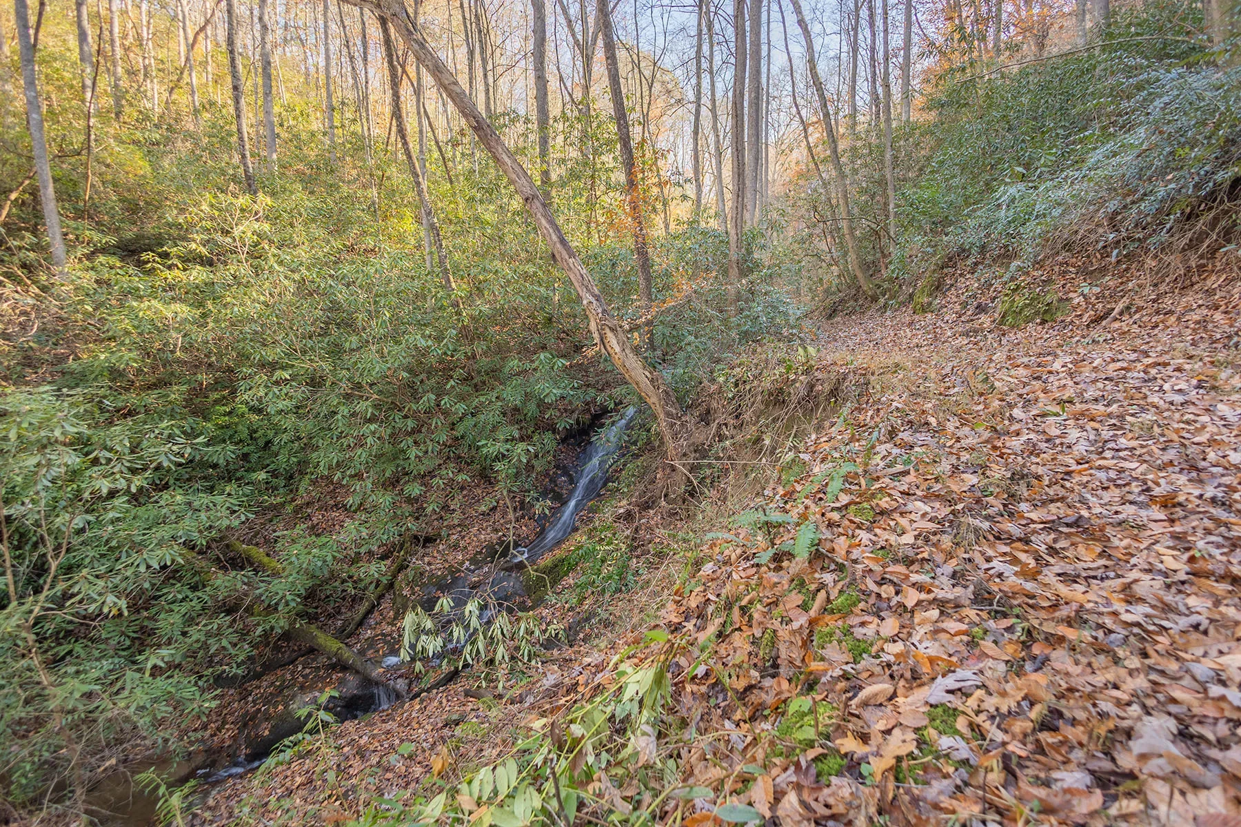 85 Brown Lane, Marble, NC 28905, Marble, North Carolina, United States. - Photo 29