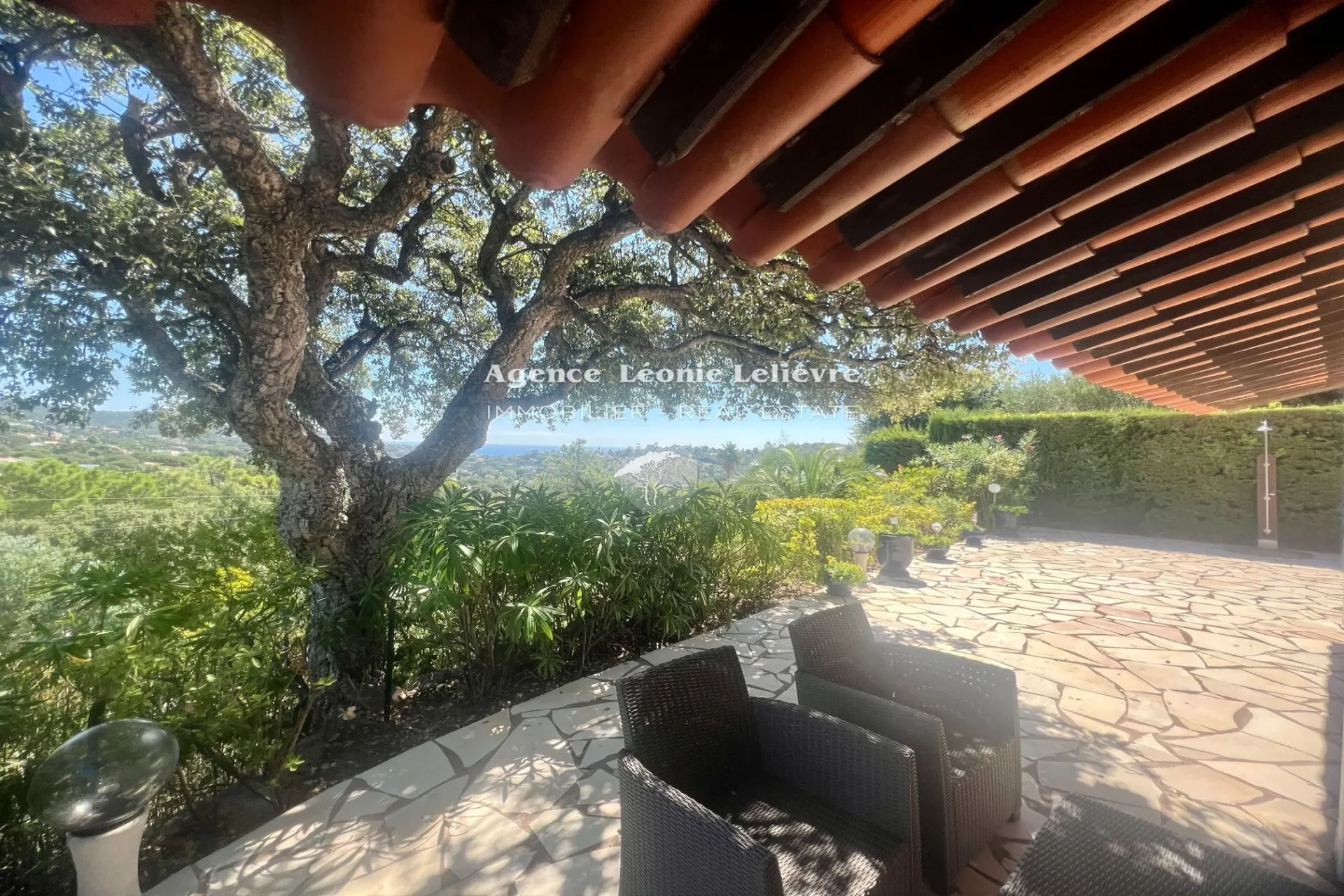 Roquebrune-sur-Argens, Provence-Alpes-Côte d'Azur, France. - Photo 6