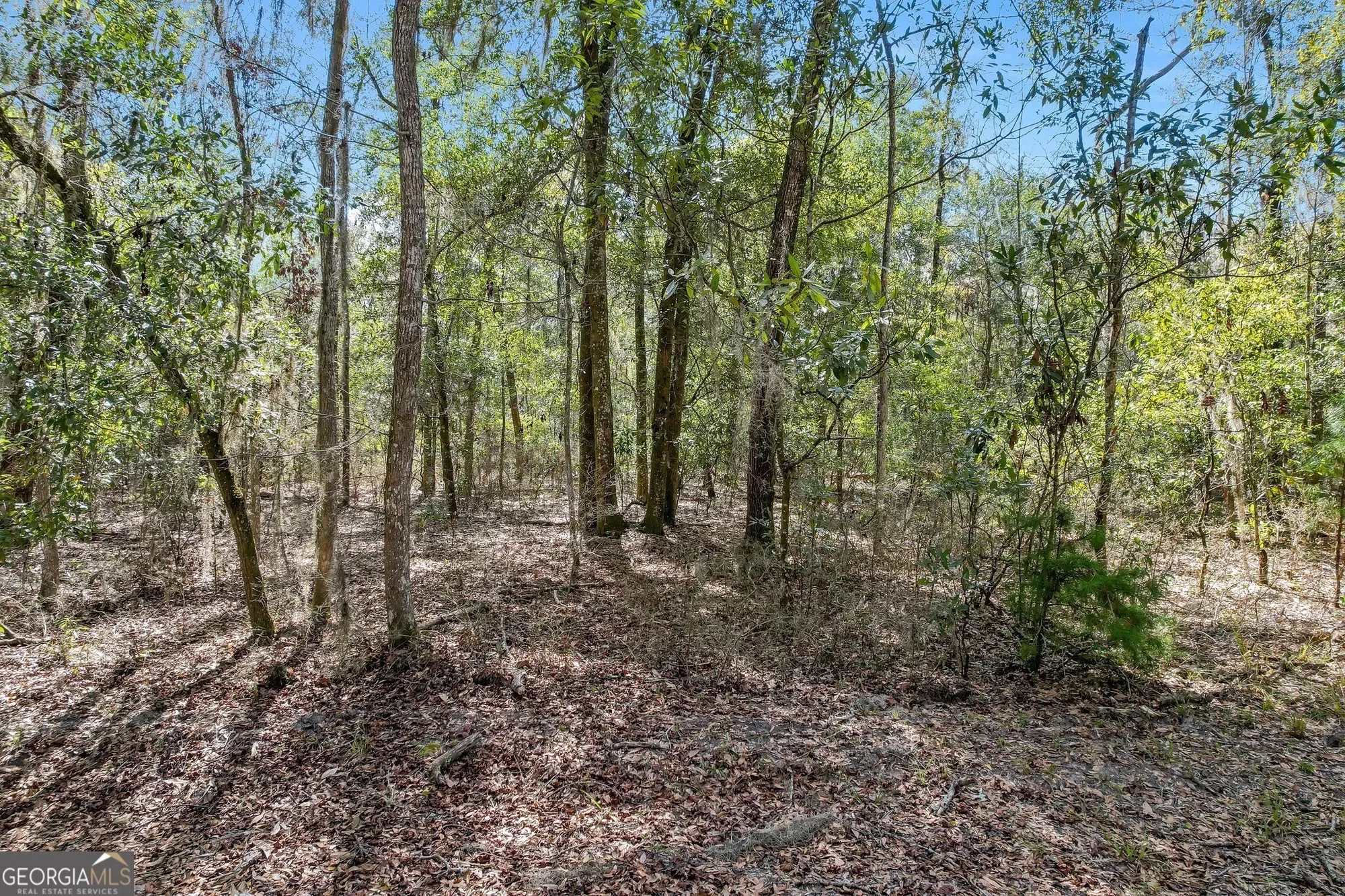 0 Drizzle Bluff Road, Woodbine, GA 31569, Woodbine, Georgia, United States. - Photo 8