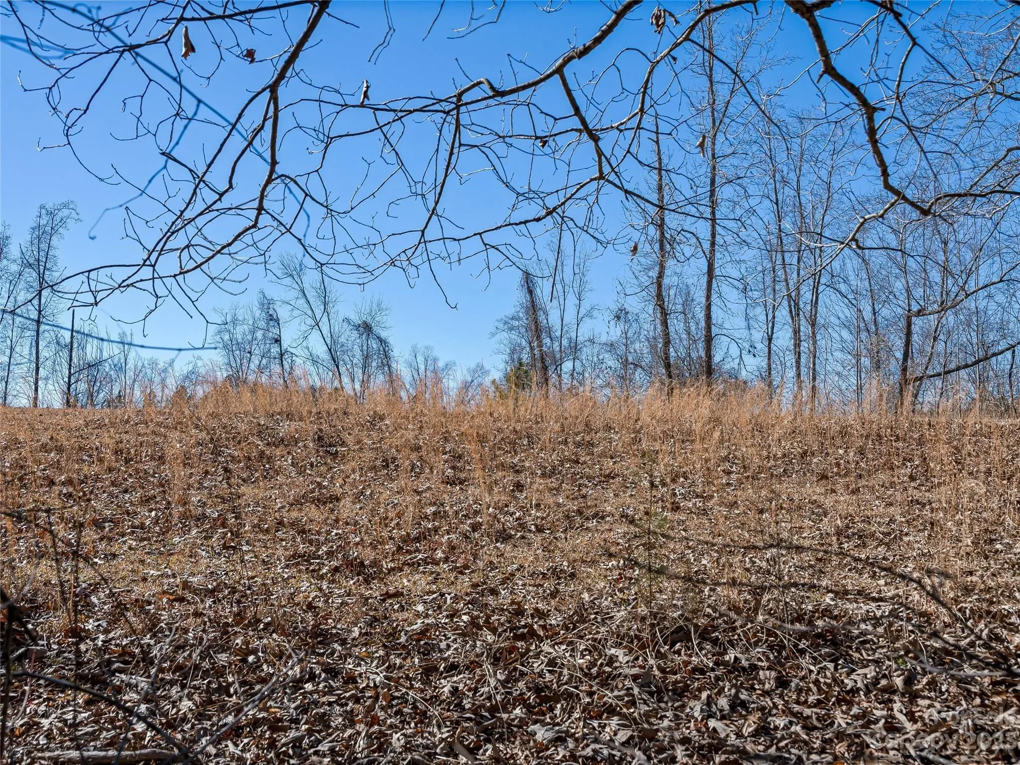 99999 Pea Ridge Road, Mill Spring, NC 28756, Tryon, North Carolina, United States. - Photo 7