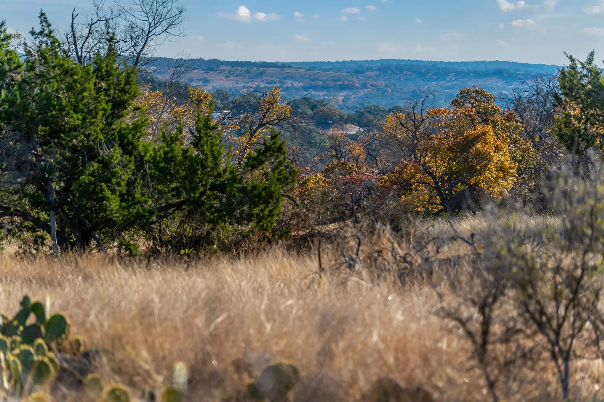 196 Hermit Hill Road , Fredericksburg, TX 78624, Fredericksburg, Texas, United States. - Photo 5