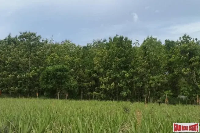 Prachuap Khiri Khan,, Thap Tai, Tanintharyi Region, Thailand. - Photo 1