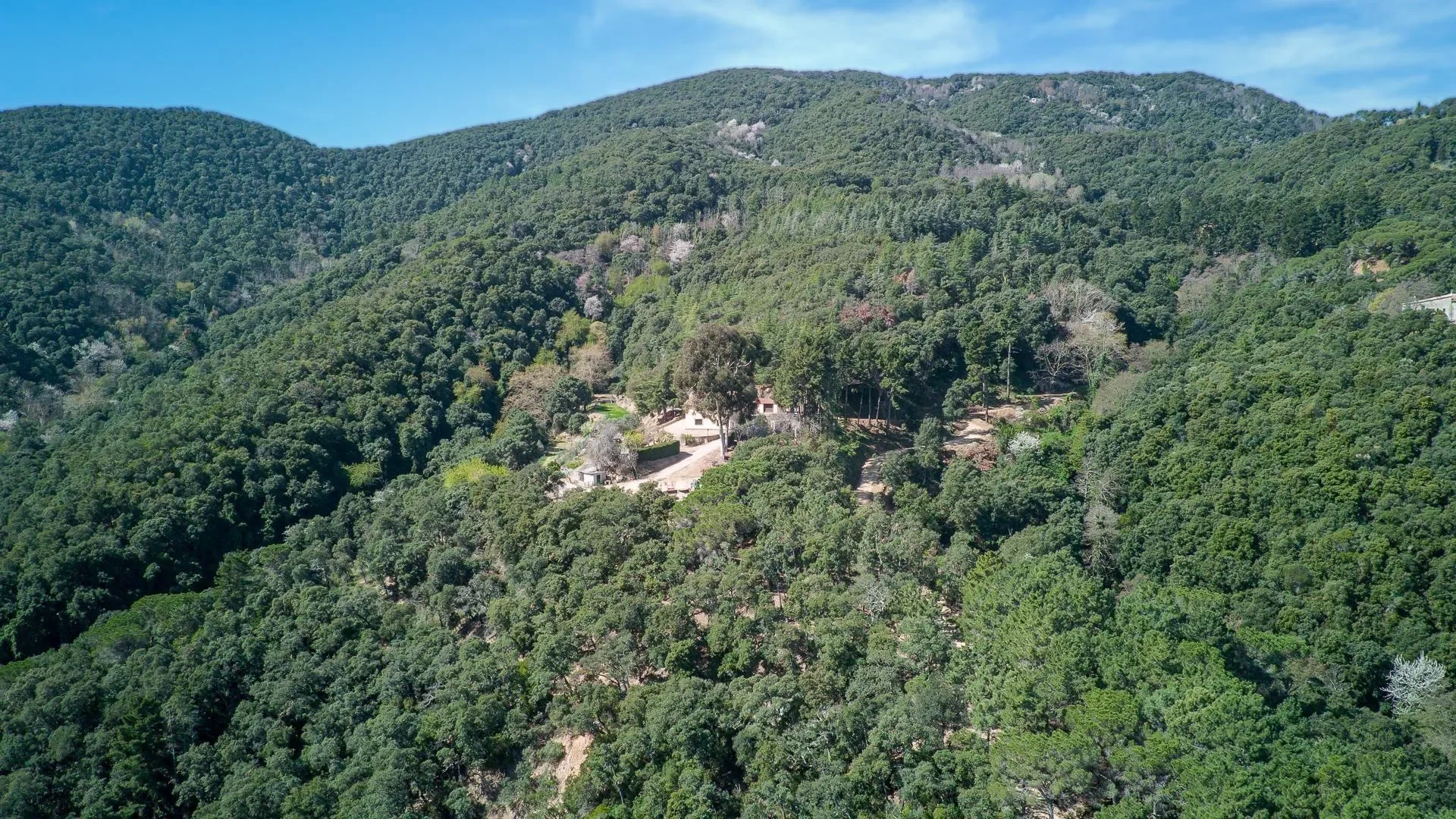 Hortsavinya, Tordera, BARCELONA, Tordera, Tordera, Catalonia, Spain. - Photo 45