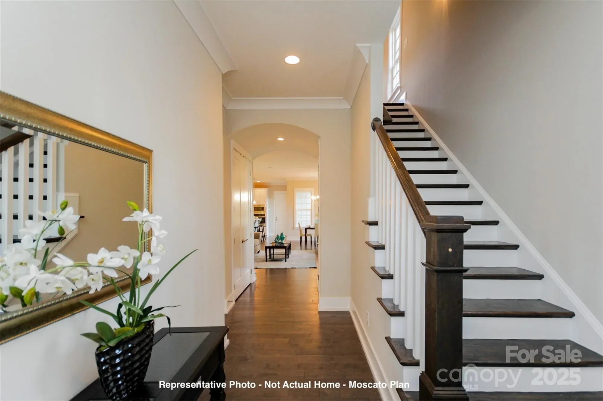 Gallery photo 6