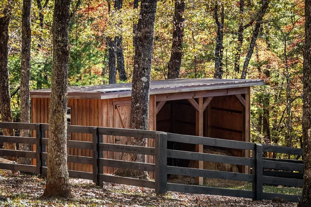 212 Dogpatch Lane, Blue Ridge, Georgia, United States. - Photo 61