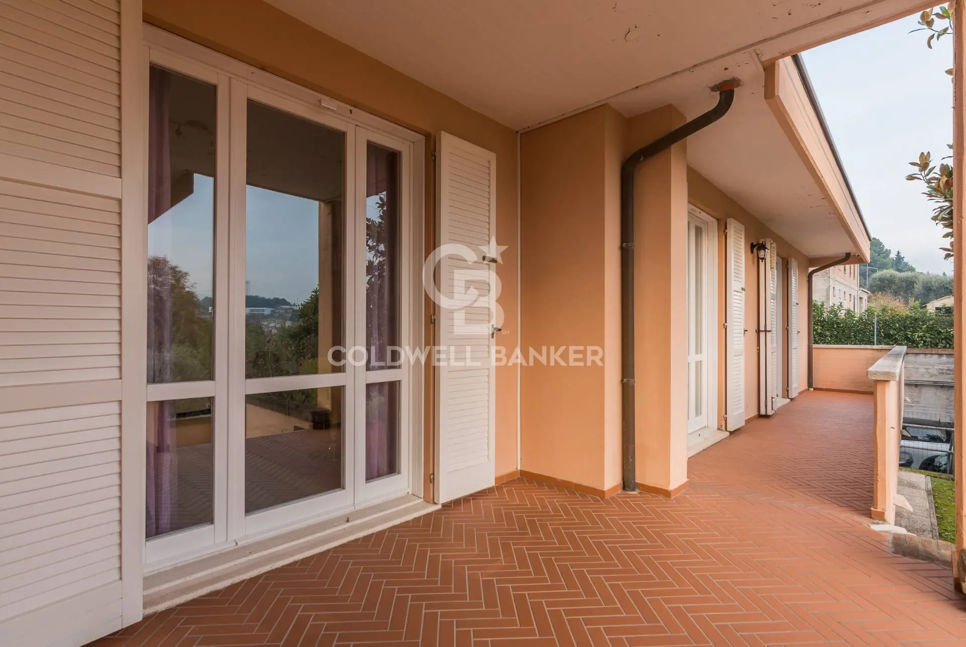 Gallery photo 11