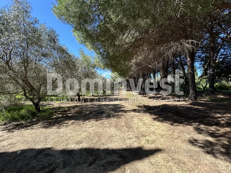 Sp Val Marina, Tuscany, Italy. - Photo 45