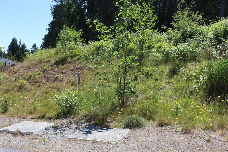 128 Rollie Rose Drive, Ladysmith, BC V9G 1T7, Ladysmith, British Columbia, Canada. - Photo 15