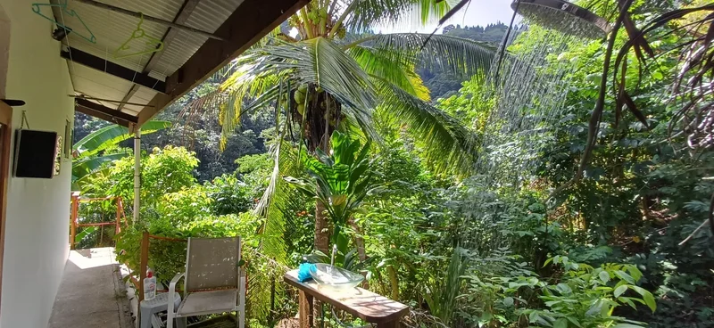 Punaauia, Punaauia, Puna'auia, Windward Islands, French Polynesia. - Photo 24