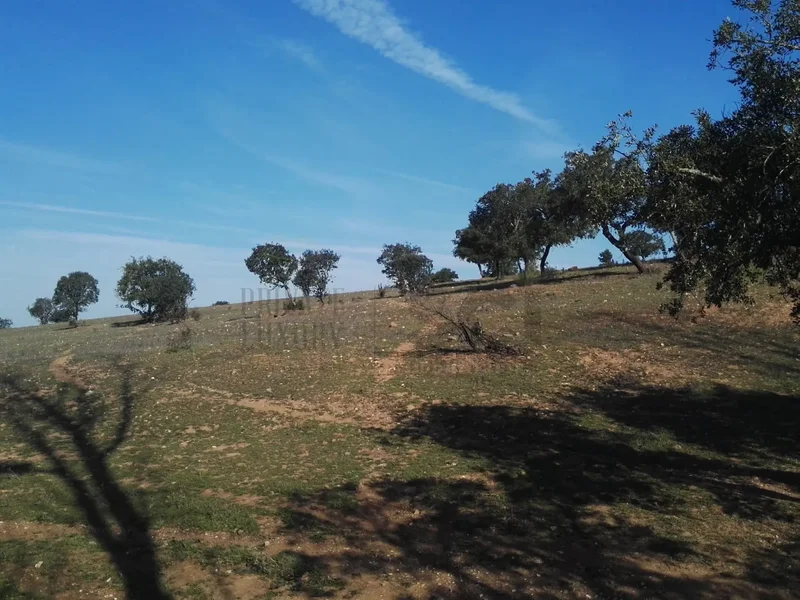 Vila Verde de Ficalho, Beja District, Portugal. - Photo 11