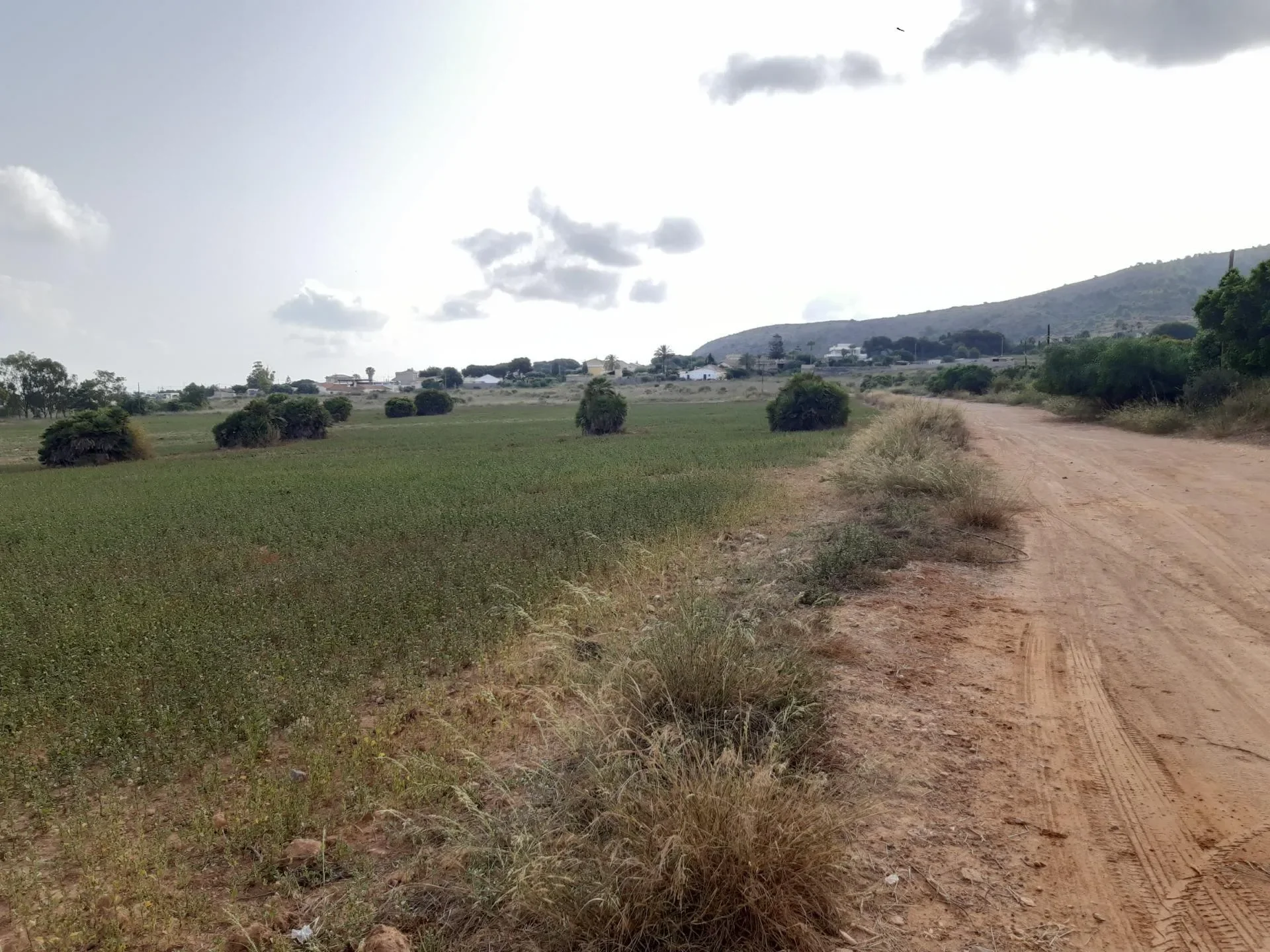 Los Belones, Cartagena, MURCIA, Cartagena, Rincon de San Gines, Cartagena, Spain. - Photo 6