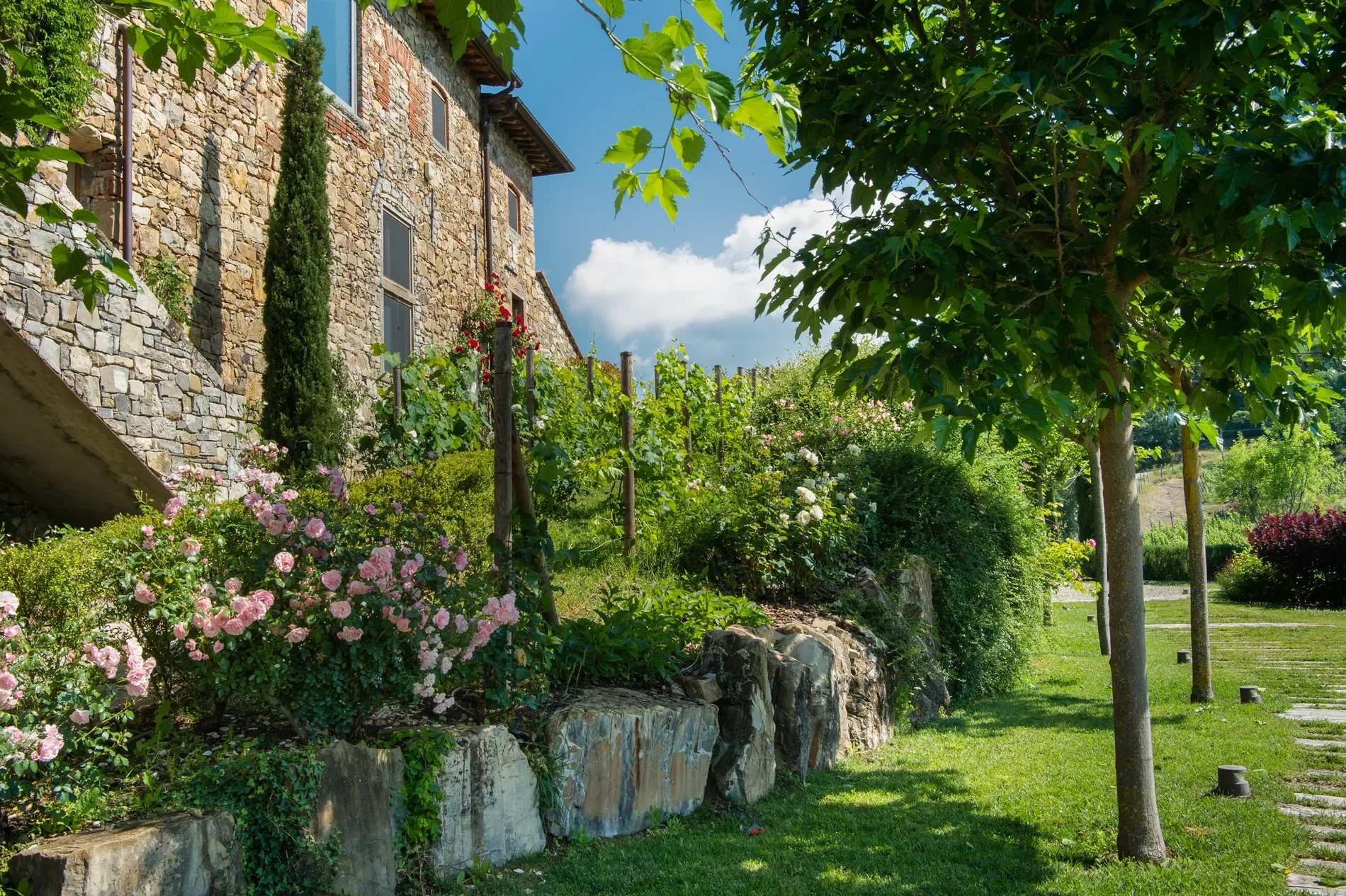 53017 Radda in Chianti SI, Italy, Radda in Chianti, Tuscany, Italy. - Photo 6