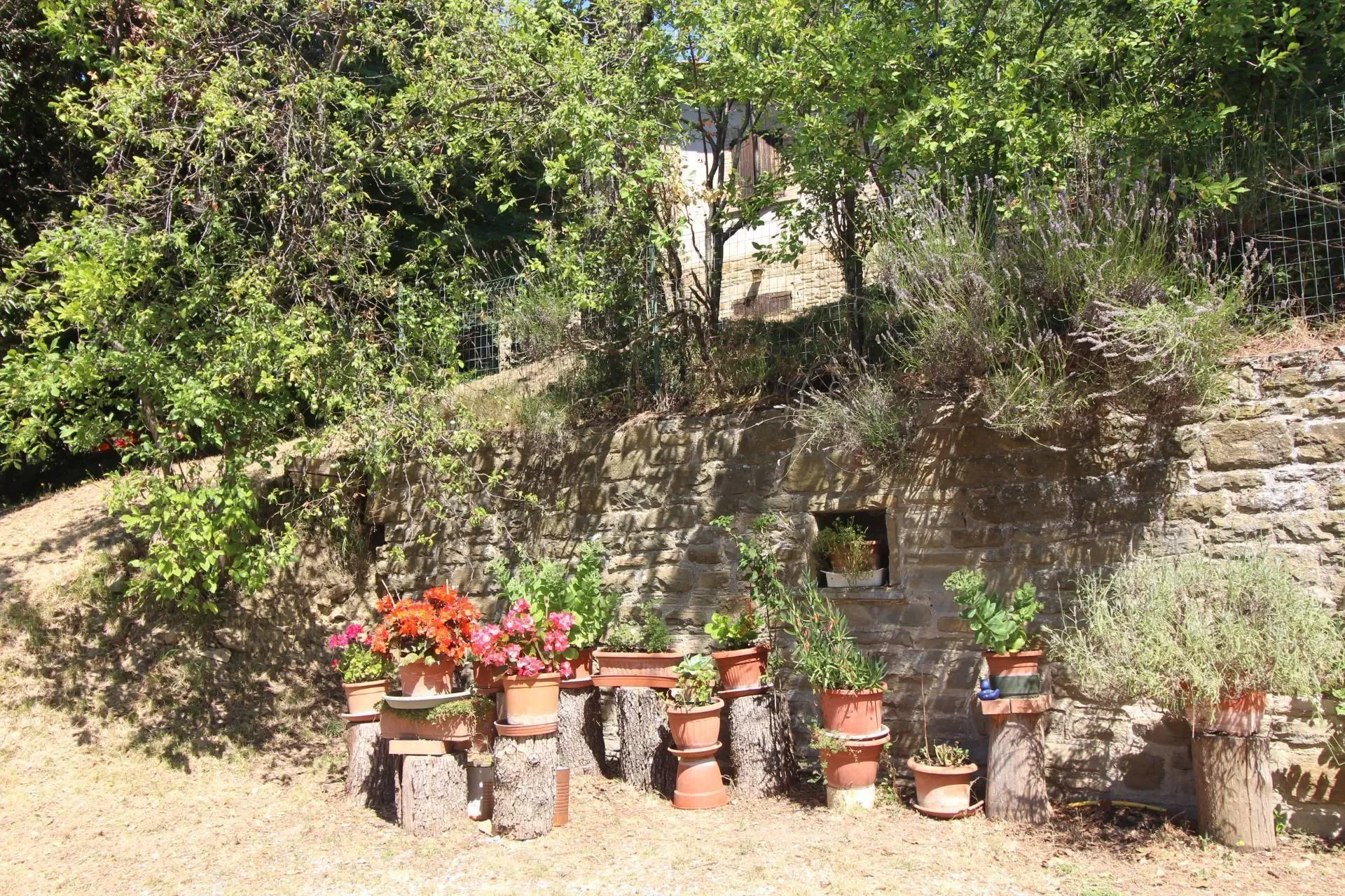 Rustico/Casale/Corte in vendita a Assisi