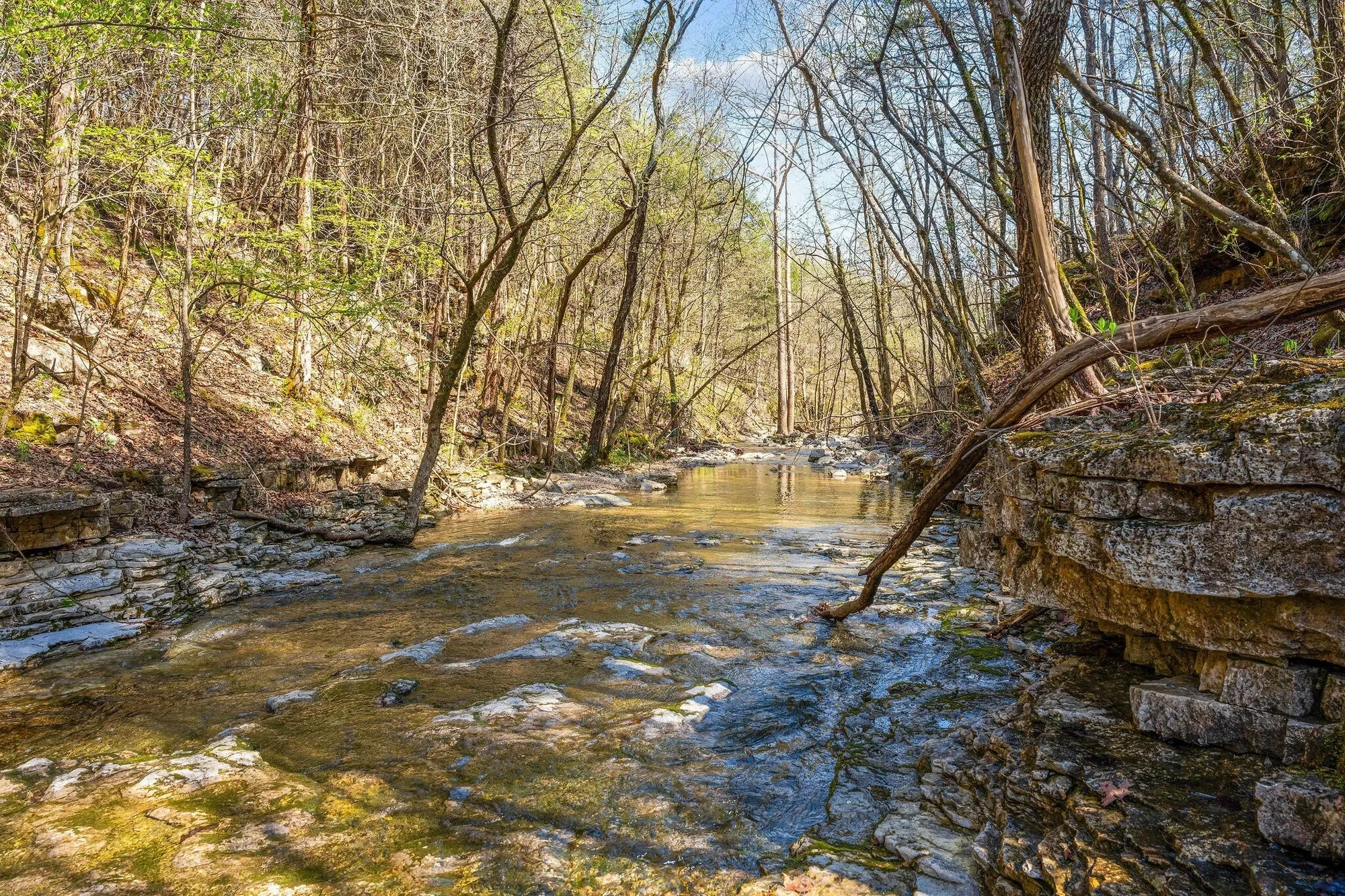 000 Tbd State Hwy J, Kirbyville, MO 65679, Kirbyville, Missouri, United States. - Photo 33