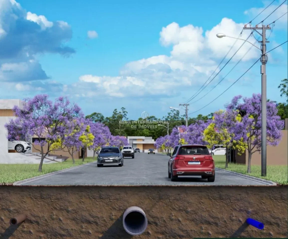 Capoavinha, State of São Paulo, Brazil. - Photo 17