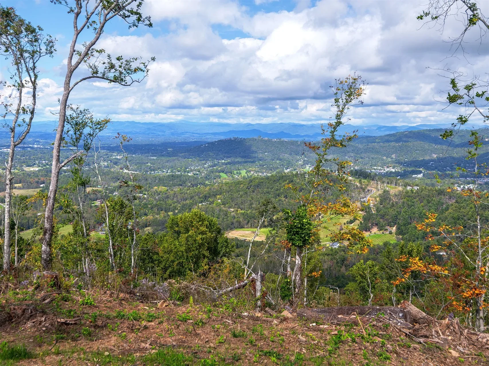 566 Elk Mountain Scenic, Asheville, NC, 28804, USA, Weaverville, North Carolina, United States. - Photo 3