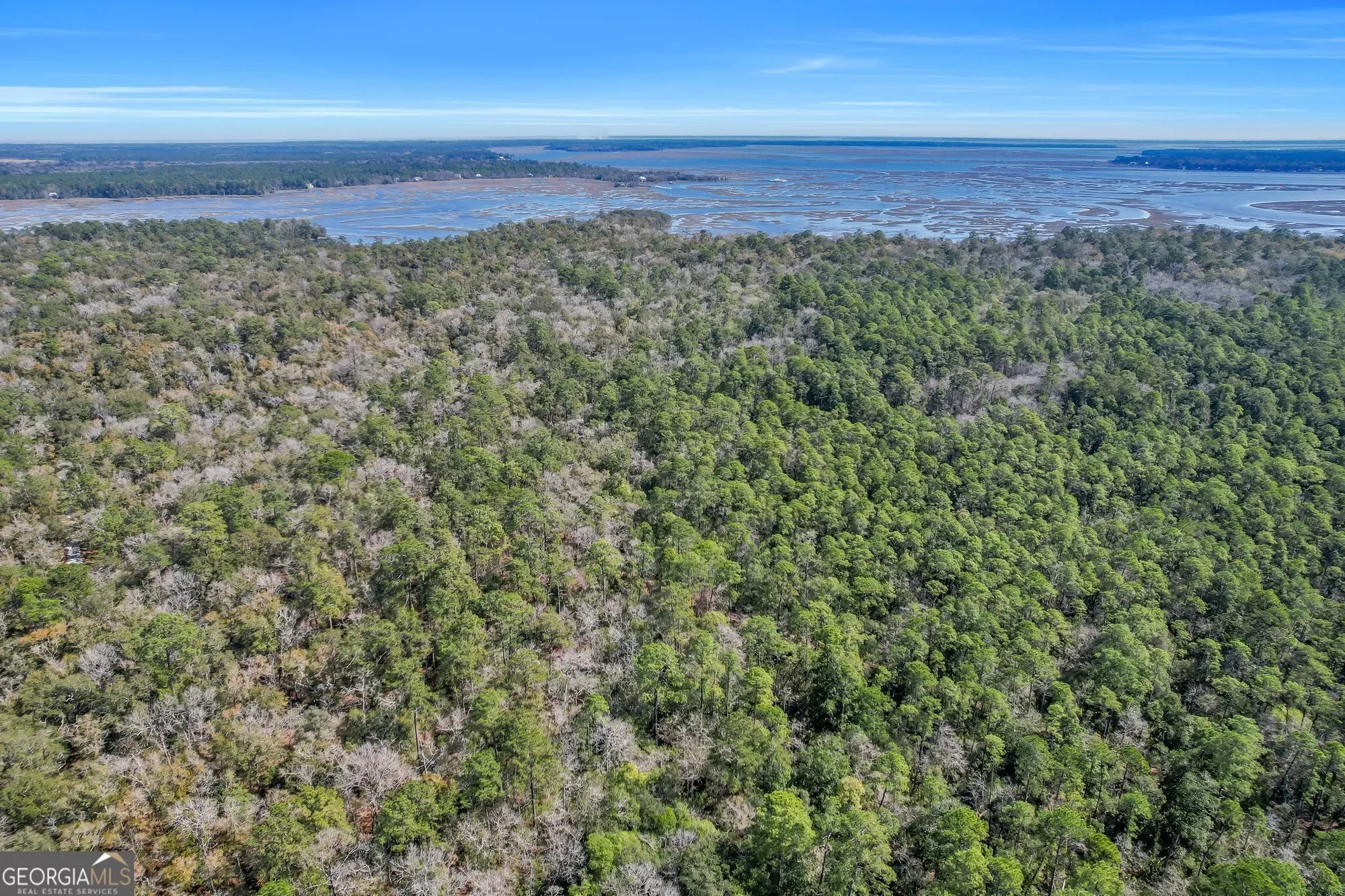 0 Drizzle Bluff Road, Woodbine, GA 31569, Woodbine, Georgia, United States. - Photo 2