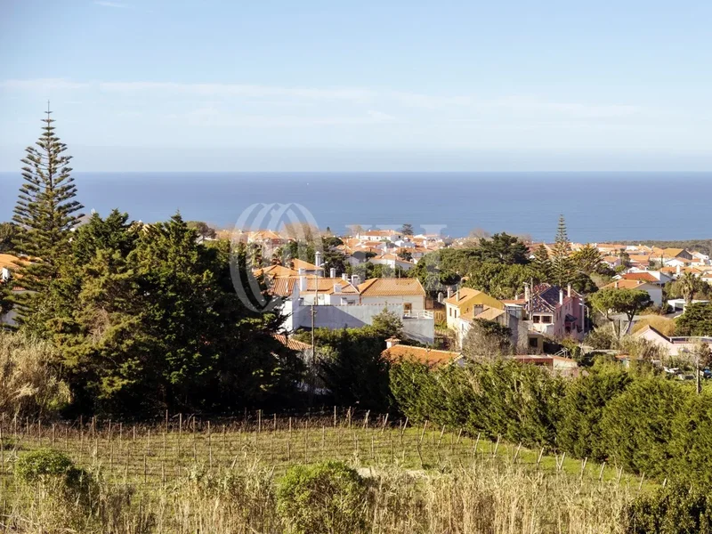 Sintra, Lisbon, Portugal. - Photo 36