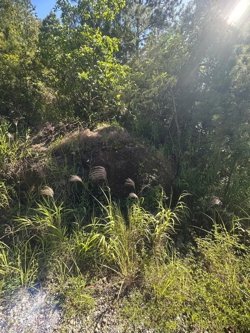LAND FOR SALE IN CHIRIQUI VOLCANO TISINGAL