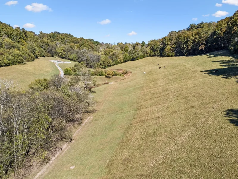 2846 Fuller Hollow Rd , Cornersville, TN 37047, Cornersville, Tennessee, United States. - Photo 66