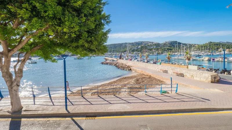Av. Almirante Riera Alemany, 3, 07157 Port d'Andratx, Illes Balears, España, Port d'Andratx, Andratx, Balearic Islands. - Photo 6