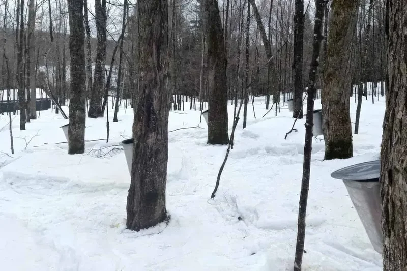 33 Rue de la Pointe, Laurentides, La Minerve, Quebec, Canada. - Photo 29