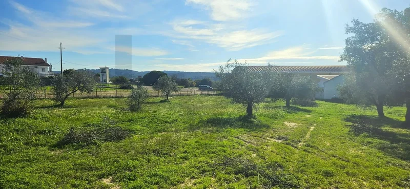 Melides, Grândola, Setúbal, Grândola, Melides, Setubal, Portugal. - Photo 17